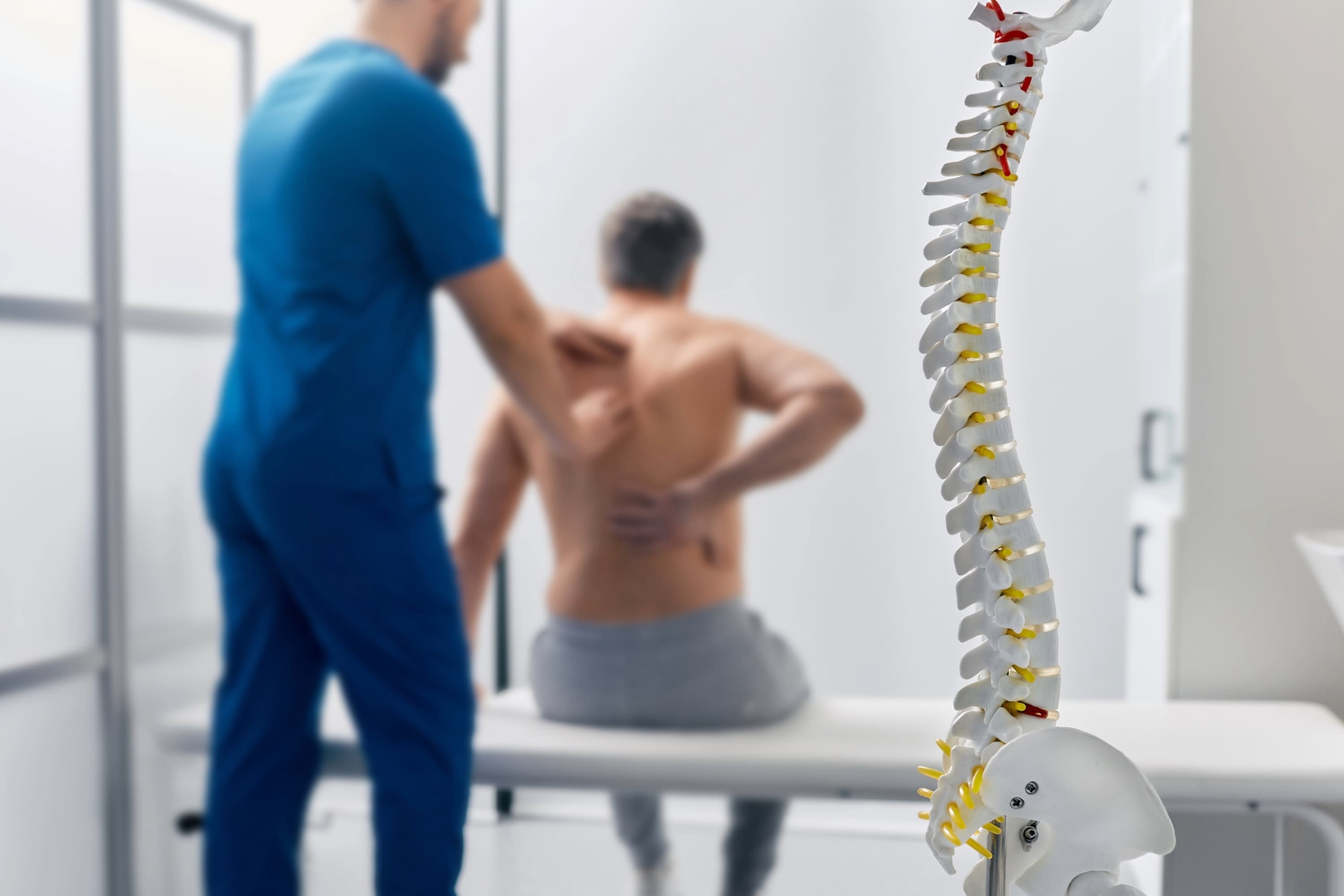Percorso fisioterapico dedicato al mal di schiena